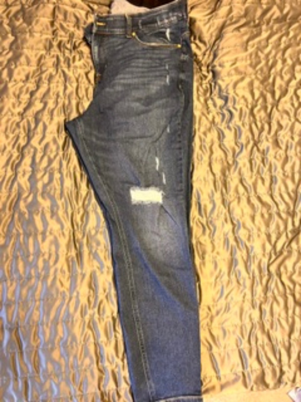 Torrid Distressed jeans
